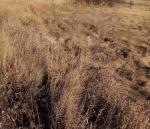 <Фотография до<br>